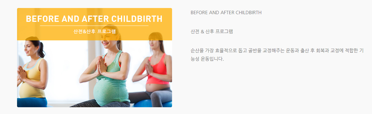 발란스핏 프로그램