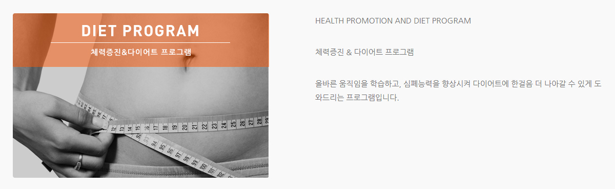 발란스핏 프로그램