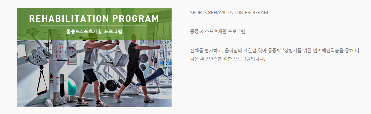 발란스핏 프로그램